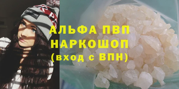 ECSTASY Лагань
