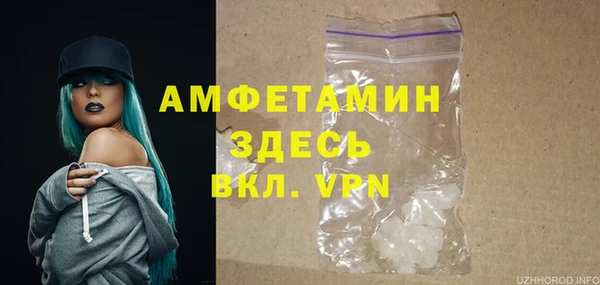 ECSTASY Лагань