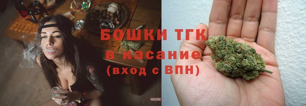 mix Богородицк