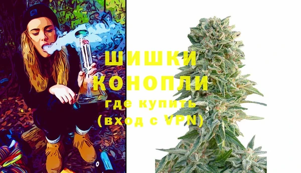 mix Богородицк