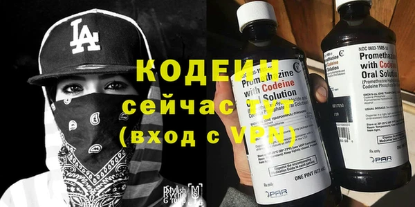 ECSTASY Лагань