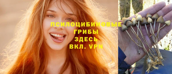ECSTASY Лагань