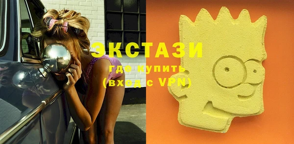 ECSTASY Лагань