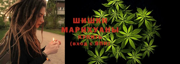 ECSTASY Лагань
