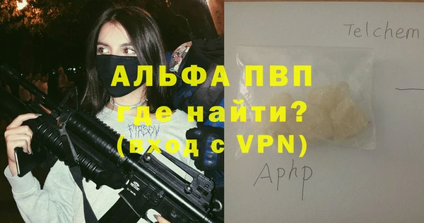 стаф Лабытнанги