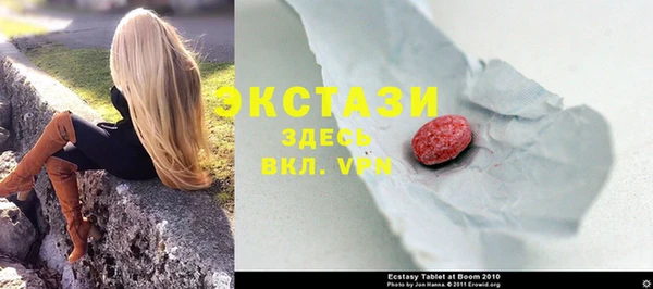 ECSTASY Лагань