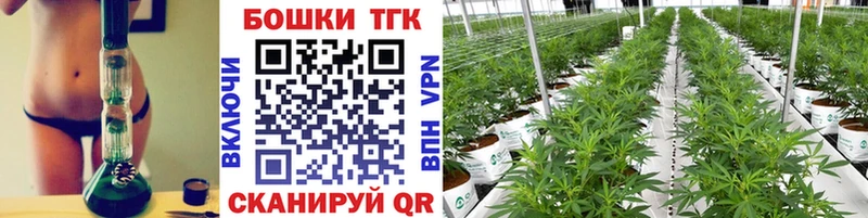 mega   Ноябрьск  Канабис White Widow 
